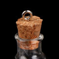 10Pcs/Set Small Glass Bottles Clear Mini Wishing Bottles with Cork Stoppers. 