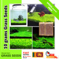 10 Grams of Aquarium Plant Seeds Soil Water Aquatic Plant Love Grass Substrate Soil Decor Fish Tank grass seeds  Aquarium Plants Aqua Soil Aquatic Plant Seeds Water Grass Seeds for Aquarium Landscaping Decoration. 