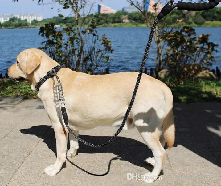 Heavy%20Duty%20Strong%20Spring%20Leash%20Dog%20Controlling%20Lead%20Reflective%20Shock%20Absorbing%20Nylon%20Round%20Rope%20-%20Image%204