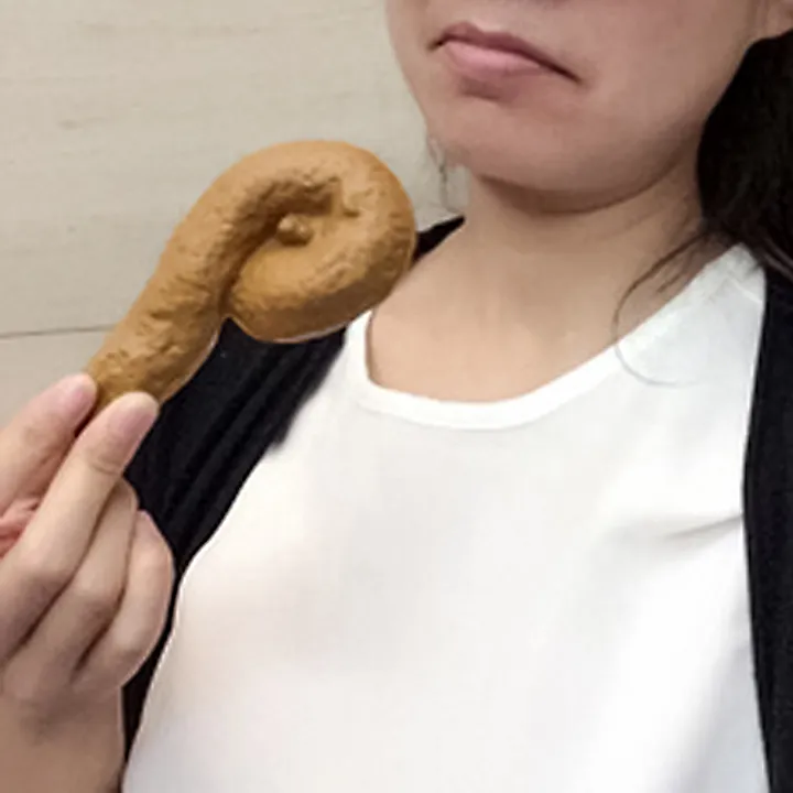 Realistic%20Turd%206-Shape%20Design%20Realistic%20Disgusting%20Fake%20Turd%20-%20Image%205