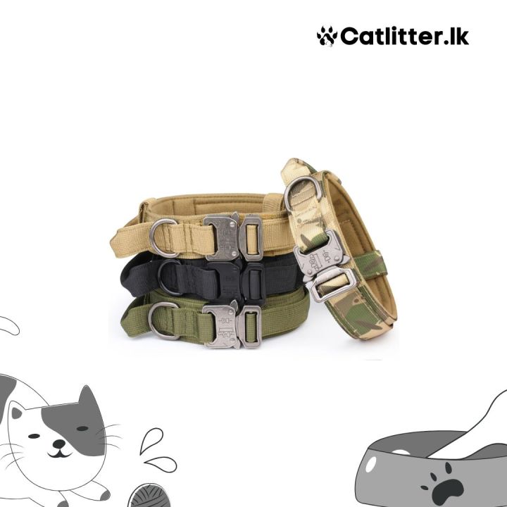Military Dog Collar with Metal Buckle and Patches