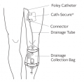 Urine Drainage Bag and Leg Bag 750ML. 
