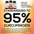 Organic Turmeric Curcumin Supplement 1500mg, Joint Support - Antioxidant (Turmeric Extract) Improves Joint Comfort Flexibility. 
