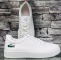 New Lacoste Sneaker Shoes. 