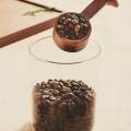 【WEJA】Measuring Spoon Safe Portable Food Grade Bean Coffee Scoop for Home Work. 