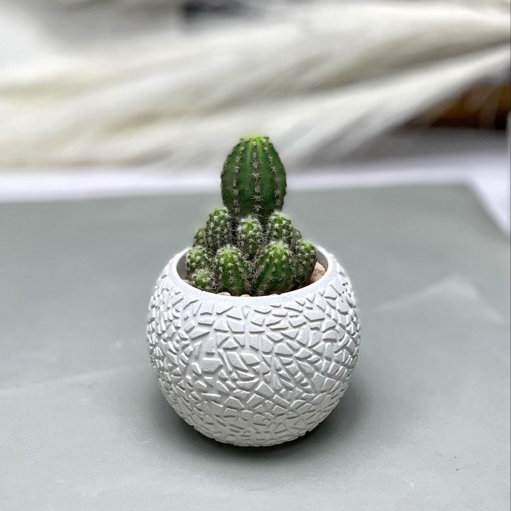 Concrete%20Pot%20Cactus%20&%20Succulent%20Cement%20Planter%20Unique%20Square%20and%20Round%20Design%20Garden%20Home%20Decor%20Gift%20Pot%20Indoor%20Plant%20Pot%20Flower%20Vase%20Cement%20Pots%20Planter%20for%20Indoor%20and%20Outdoor%20-%20Image%205