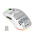 HXSJ T66 RGB 2.4G Wireless Gaming Mouse RGB Lighting Charging Mouse with Adjustable DPI Ergonomic Design for Desktop Laptop White. 