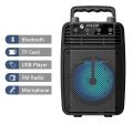 Wireless Portable Speaker with Bluetooth, Mic Input, FM Radio, TF Memory Card Reader and USB Pen Drive. 