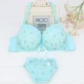 Summer Wireless Thin Bra Development Period Girl's Underwear Panties Set Junior and Senior High School Students Small Sized Bra Gather. 