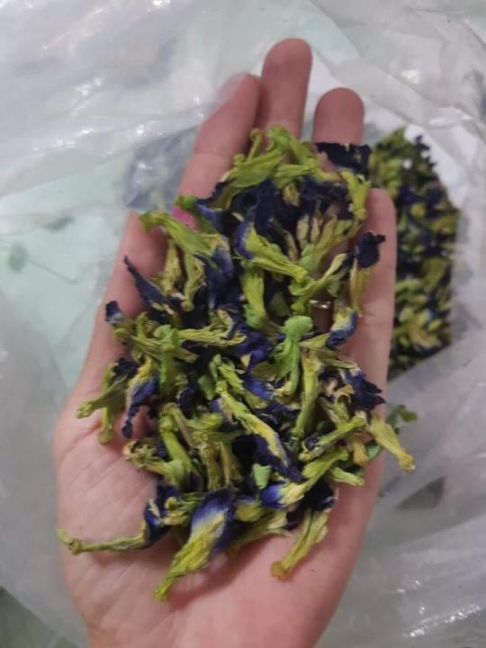 50%20Dry%20Flowers,%20%20Katarodu,%20Nil-Katarolu,%20Nilkatarodu,%20%E0%B6%B1%E0%B7%92%E0%B6%BD%E0%B7%8A%20%E0%B6%9A%E0%B6%A7%E0%B6%BB%E0%B7%9C%E0%B7%85%E0%B7%94.%20Blue%20Butterfly%20Pea,%20Clitoria%20ternatea%20.%20Karuttappu%20-%20Image%205