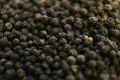Black Pepper Seeds (100g). 
