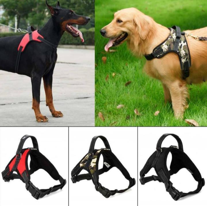 Heavy Duty Dog Pet Harness Collar Adjustable and Soft Chest Belt (Free Size)