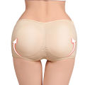 Women Padded Pad Hit Up Padded High Waist Panties Clothing Buttocks Reinforced Pants Buttocks Lift Hip Shaping Pants. 