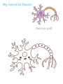 Children Activity Colouring Books Biology the Cells. 