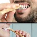 Miswak Siwak Natural Toothbrush Traditional Arak Teeth Whitener Soft Travel Manual Toothbrus Natural Miswak Teeth Sticks. 