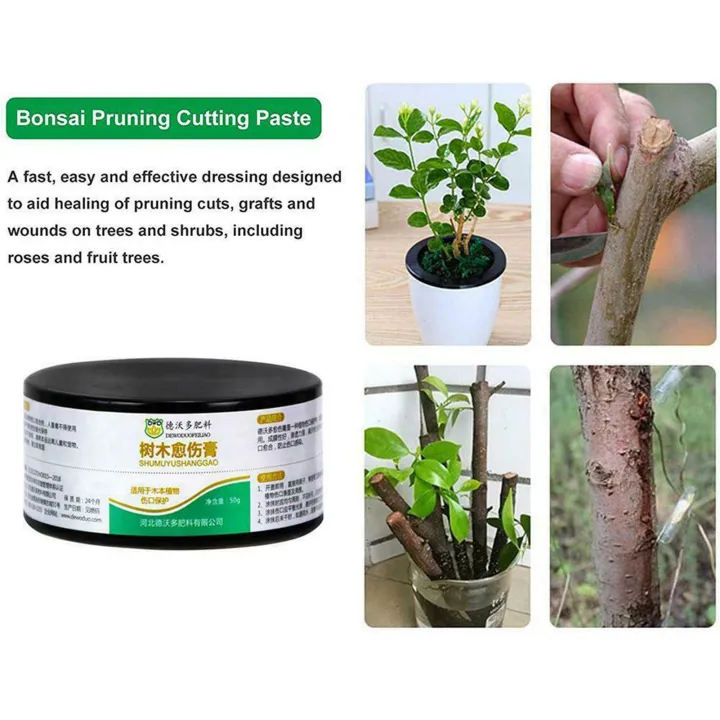 Grafting%20Sealant%20Gentle%20Newly%20Bonsai%20Pruning%20Cutting%20Paste%20-%20Image%208