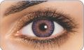 Colour AMETHYST - Fresh Look acl Colour Blends Contact Lens - Full Set - Colour Contact Lens (Replacement Cycle: 12 Month). 