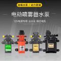 12v Volt Agricultural Electric Sprayer Water Pump Motor Watering Flower Fruit Tree Nursery High Pressure Diaphragm Self-Priming. 