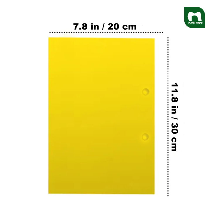 Eco-Friendly%20Yellow%20Glue%20Traps%20Sticky%20Insects%20Cards%20Yellow%20Fly%20Traps%20Sticky%20Fly%20Traps%20for%20Home%20Gardening%20Agriculture%20or%20Farming%20-%20Image%202