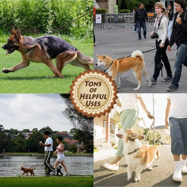 Dog Leash Walking Training Leash Lead Leather Dog Collar Leash Set Personalized Customized Dogs Collars Braided Leather Dog Leash Leather Good Quality Leash carry 500 Lb pull force