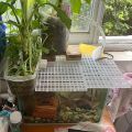 Aquarium Fish Tank Divider Plastic Egg Crate Aquarium Filter Bottom Tray Grid Isolation Board Partition Net Pane Separator. 