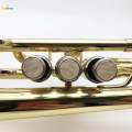 3x Trumpet Caps Shell Easy Install Repairing Trumpet Finger Buttons. 