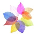 40pcs /Bag Multi-Color Natural Skeleton Leaf Dry Leaves Scrapbooking DIY Material Natural Magnolia Leaf Vein Student bookmark. 