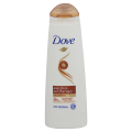 Dove Anti-Frizz Oil Therapy Dry Hair Shampoo 355ml. 