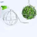 Hung Ball Shape Feeder Toy Stainless Steel Grass Rack for Chicken Hamster Rat. 
