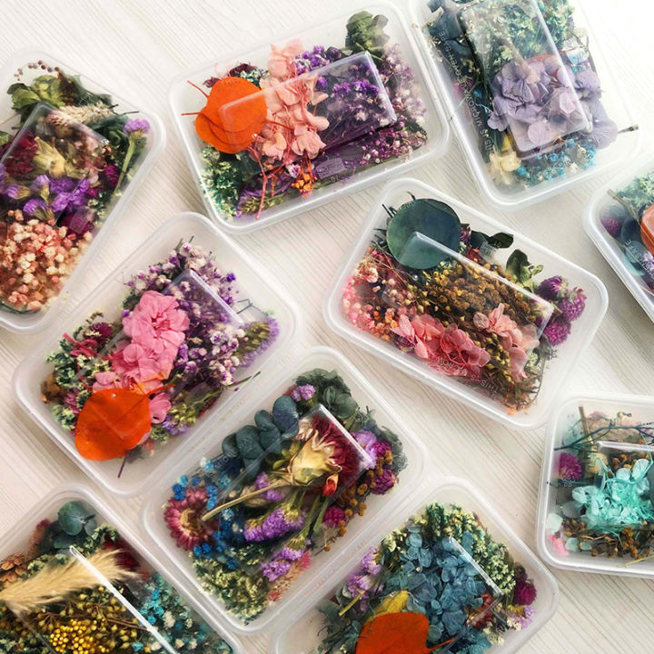 Real%20Dried%20Flowers%20Plants%20Pressed%20For%20Resin%20Jewellery%20Making%20Craft%20DIY%20Accessory%20-%20Image%209