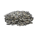 Sunflower Seeds සූරියකාන්ත බීජ 3g for Home Gardening. 