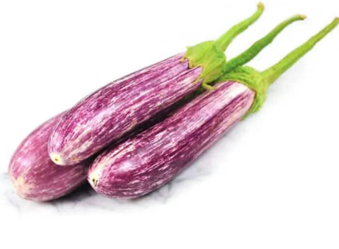 Lena%20Iri%20Batu%20/Brinjal%20Seeds%20For%20Home%20Garden%20-%20Image%207