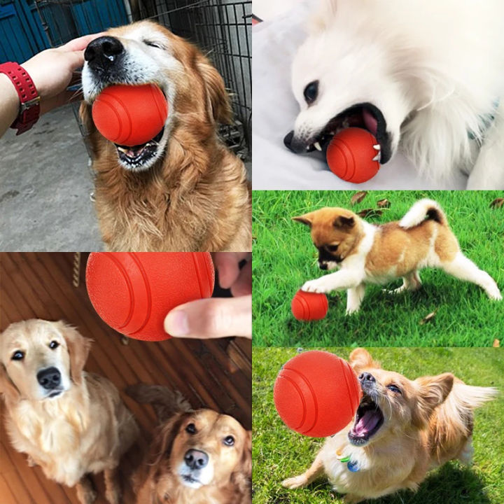 Extra%20Large%20Red%20Solid%20Ball%20Dog%20Toy%20Chew%20Hard%20Rubber%20Bite%20Resistant%20Ball%20for%20Fetch%20Play%20Ball%20Pet%20Puppy%20Dogs%20Teeth%20Rubber%20Balls%20Pets%20Dog%20Toys%20Dog%20Sell%20Dog%20Ball%20Floating%20Ball%20Play%20Ball%20Red%20Ball%20Hard%20Ball%20Pet%20Ball%20Solid%20Red%20Ball%20Chew%20Ball%20Bite%20Ball%20Fetch%20Ball%20-%20Image%2010
