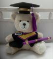 Graduation Teddy Bear/Personalized graduation teddy bear. 