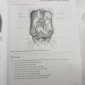 Ross & Wilson Anatomy and Physiology Colouring and Workbook，Anne Waugh MSc CertEd SRN RNT FHEA and Allison Grant BSc PhD RGN. 