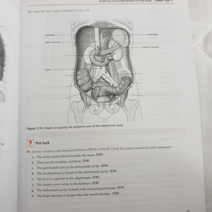 Ross%20&%20Wilson%20Anatomy%20and%20Physiology%20Colouring%20and%20Workbook%EF%BC%8CAnne%20Waugh%20MSc%20CertEd%20SRN%20RNT%20FHEA%20and%20Allison%20Grant%20BSc%20PhD%20RGN%20-%20Image%205