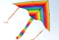 3.5 Ft Multi Design Rainbow Kite / Kite Toys for Outdoor / Patang for Flying / Cartoon Shape Kite for Flying. 