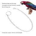 safe stainlesssteel foot chain training for parrot rust-proof large parrots alexander dove grey golden sun keck. 
