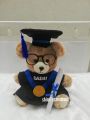 Personalized Graduation Teddy Bear. 