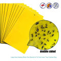 Yellow Sticky Trap/Sticky Trap/Yellow Sticker/Yellow Trap for Insects/Insect Trap. 