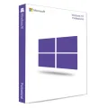 Windows 10 Professional (Pre-Activated) bootable DVD. 