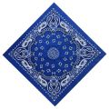 55cm*55cm Women Paisley For Graffitin B-Boyin Sports Head Wrap Hip Hop Square Scarf Scarves Handkerchief Bandana. 