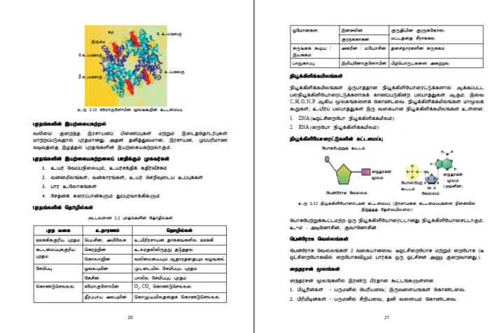 Biology Resource Book | Grade 12 | Unit 1-5(i) | Tamil Medium | தமிழ் ...