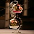 Flower Pot Transparent Hanging Glass Vases Ball Clear Succulents Ball Container 6/8/10/12/15cm Borosilicate Glass Glass Planter Garden. 