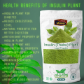 Organic Insulin Plant (Thebu - තෙබු) Leaf Powder 100g - Natural Diabetes Management Supplement - Blood Sugar Control - 100% Pure & Premium Quality. 
