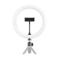 10 Inch Beauty Ring Light with 7 foot stainless steel Stand Tripod and phone holder - Tiktok Light - youtube - Facebook - Instagram - Live stream - 3 color shades - switch - Studio light - FairBay.. 