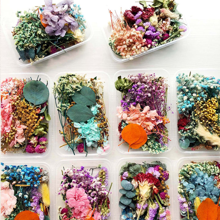 Real%20Dried%20Flowers%20Plants%20Pressed%20For%20Resin%20Jewellery%20Making%20Craft%20DIY%20Accessory%20-%20Image%202