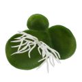 【jellyfishleaf Aquarium Artificial Duckweed Floating Plastic Green White Plant. 