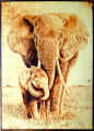 Handmade Wood Burning Art - Pyrography Arts Home decoration And Wall Art - Baby Elephant with mother. 