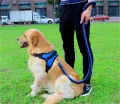 Big Pet Dedicated Dog Leash And Collar Strands Plaited Rope Dogs Collars Leashes Chain Strong For Large Dogs Animals. 